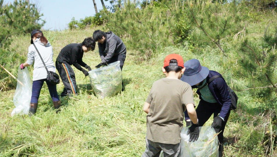 Activity to preserve the seawall environment in Munakata city , “Satsuki Matsubara Adoption Program ”