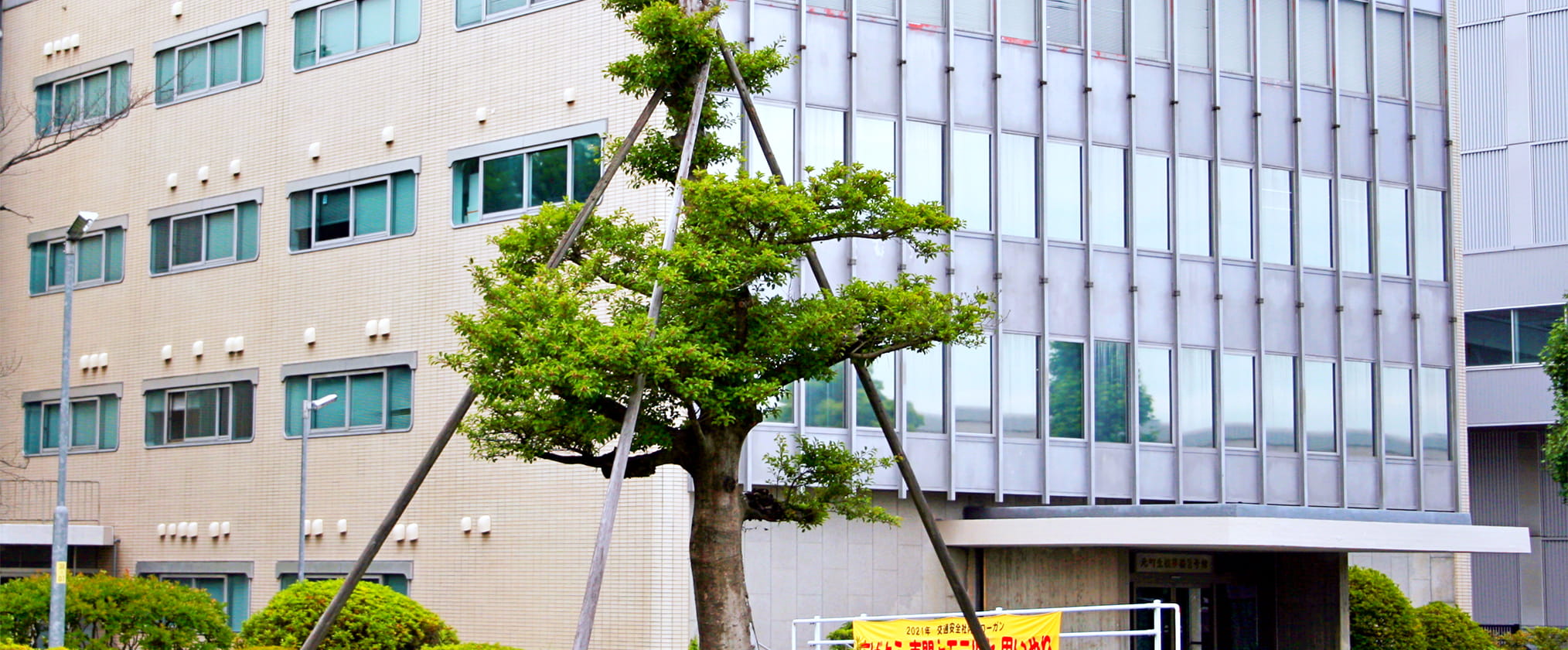 Motomachi branch office